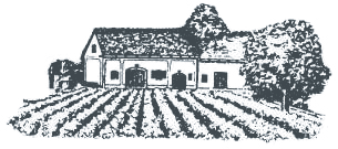 Naturnaher Weinbau & herkunftsgeprägte Weine 