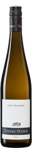 Gelber Muskateller
