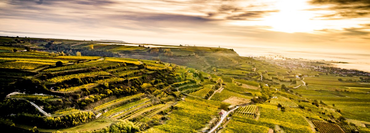 HEADER Homepage Gebling Herbst.jpg